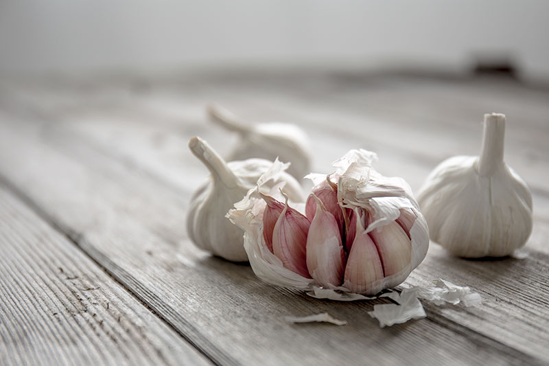 10 garlic facts every cook should know! Cloves of garlic falling out of a bulb with soft natural lighting